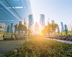 The Impact of Short-Term Disruption on Retailers’ Long-Term Sustainability Goals: Pt. 1