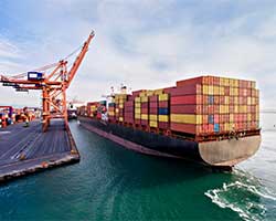 Jess Dankert on NPR Discussing How Resilient Retailers are Navigating the Supply Chain