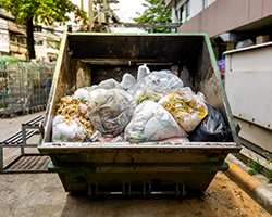 Thanksgiving – a good time to think about food waste