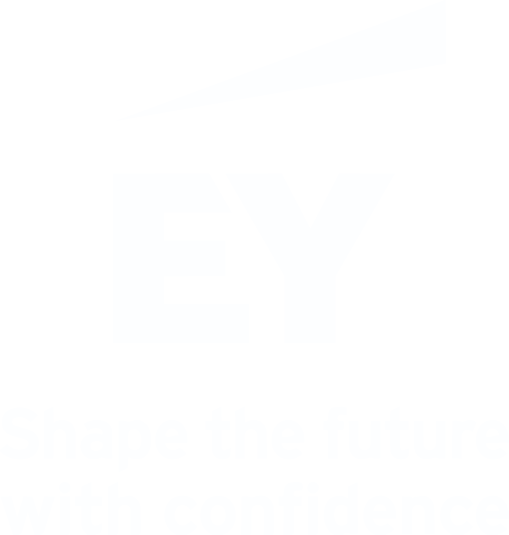 Logo for Ernst Young 2