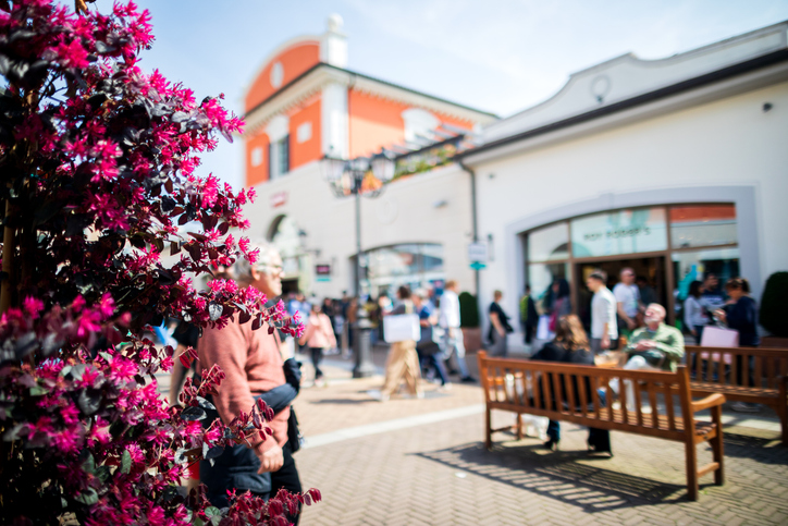 About the Foundation