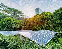 Are Green Tariffs Right For Your Company? 