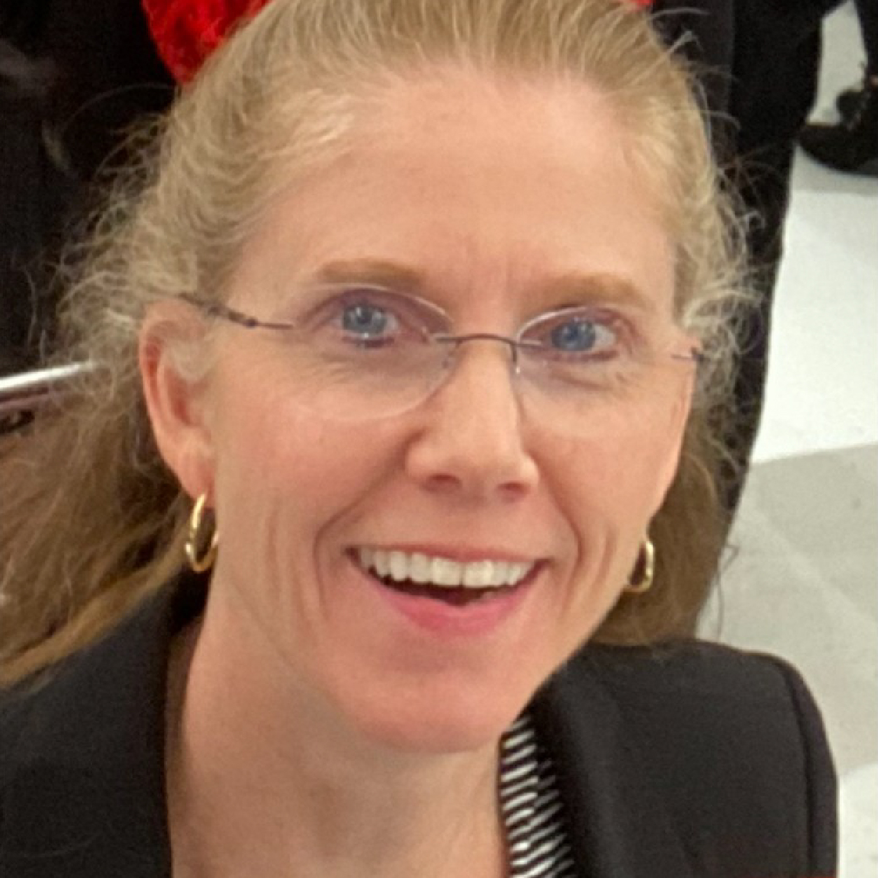 LINK Advisory Board Headshots 300x300_Diane Padgett.jpg