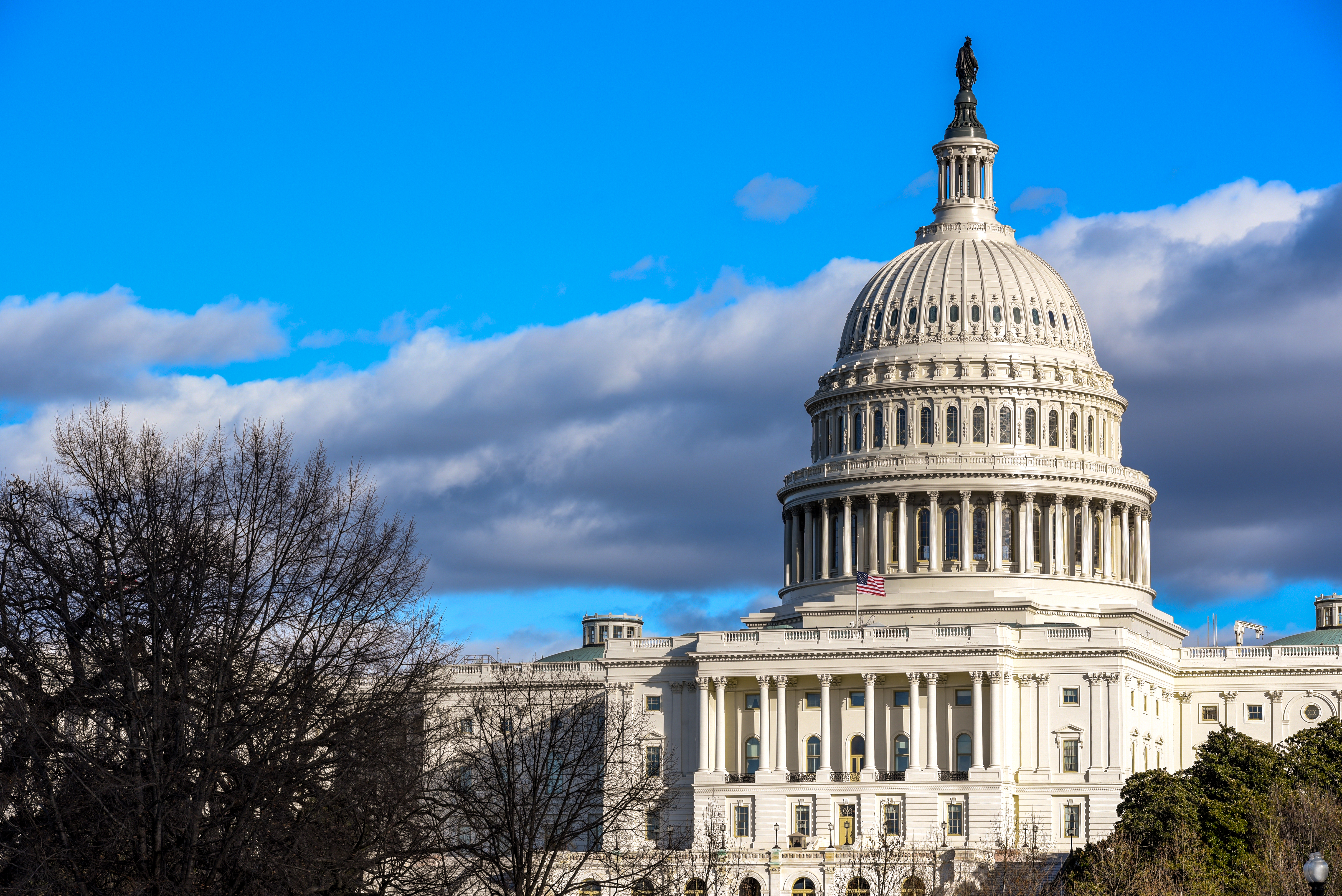 RILA Issues Statement on Government Shutdown 