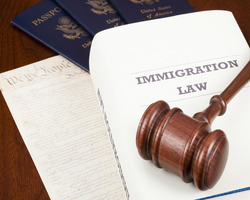 Immigration Landscape Midyear Review