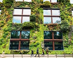 LEED Certification for Retail