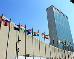 Retail Trade Policy Update: July 19-23