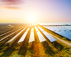 Climate & Sustainability