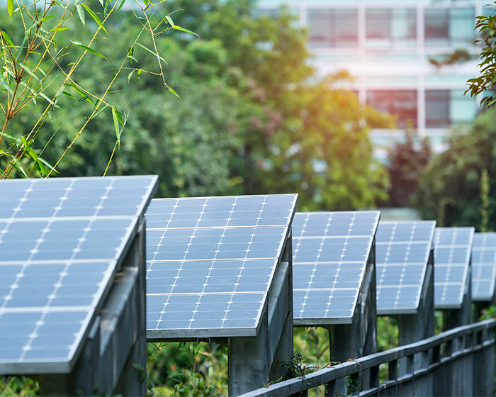 Sustainability & Environment