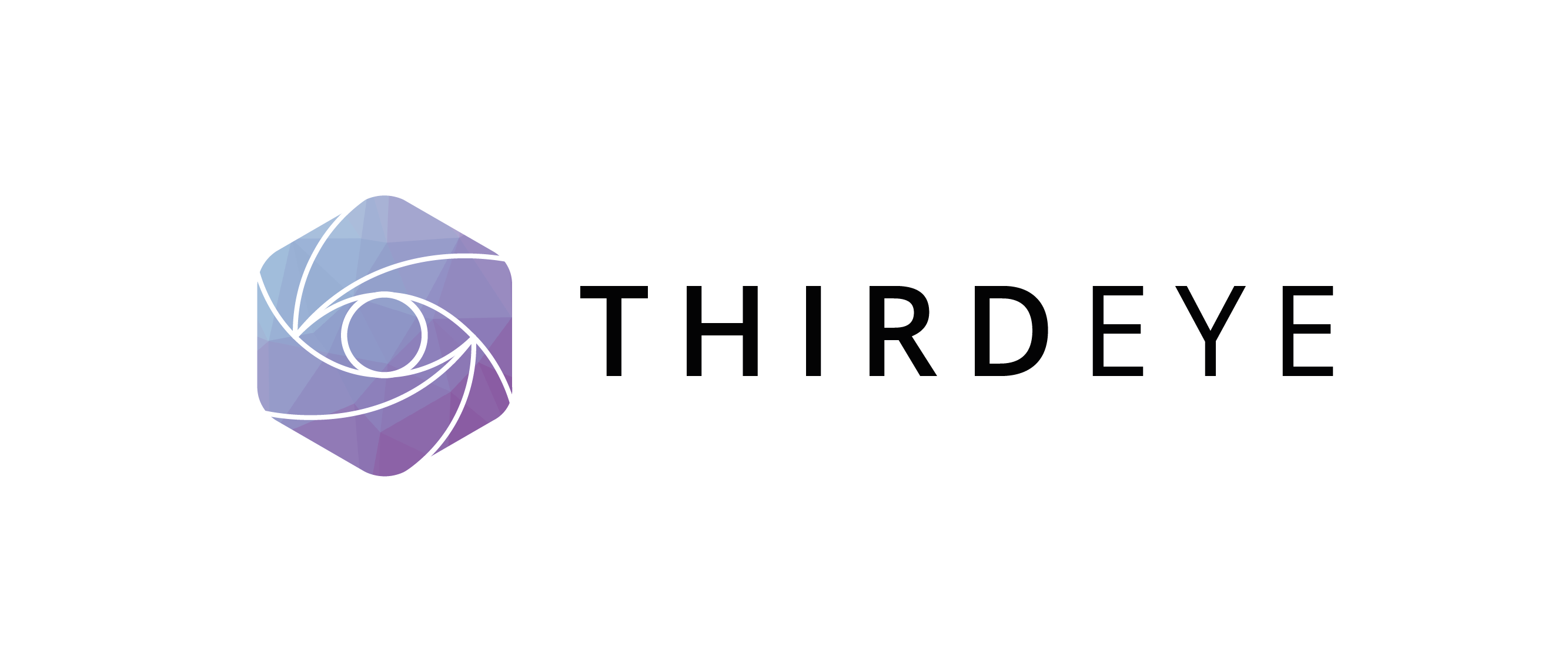 Thirdeye-Logo.png