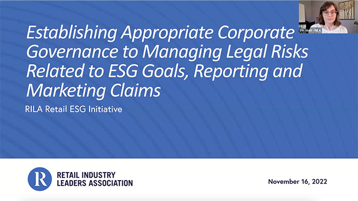 Appropriate Corporate Governance to Managing Legal Risks Video Thumbnail